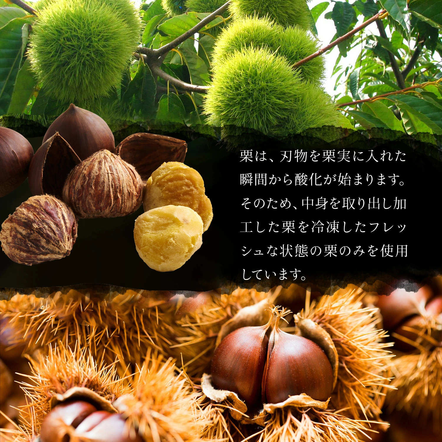 栗玉